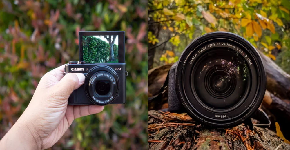 A Comprehensive Guide with the Latest Digital Photography Trends