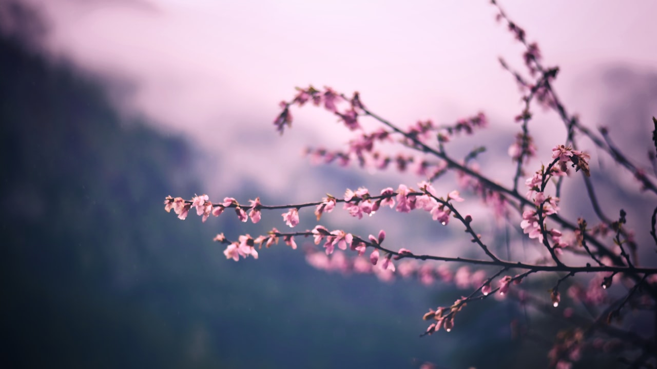 Spring Clean Your Diaper Bag