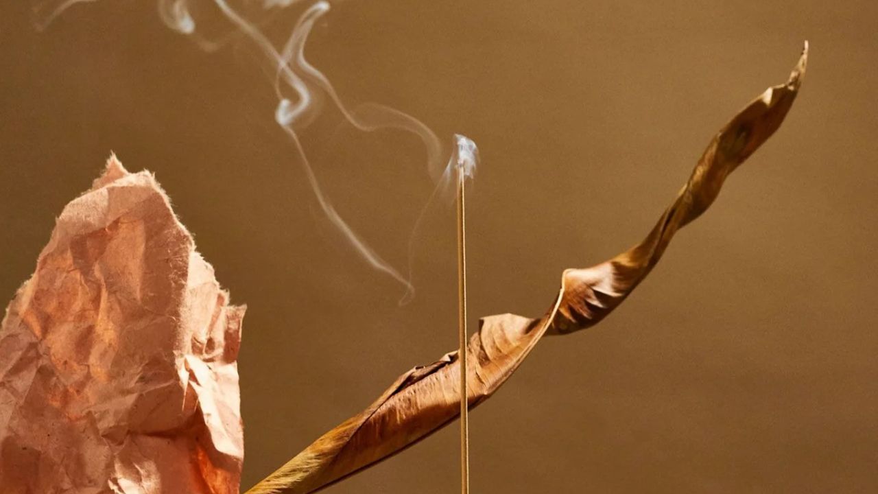 What Makes Serenaure the Go-To Brand for Premium Incense?